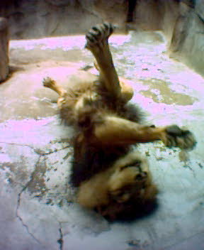 Fotky_035.jpg