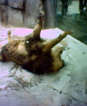 Fotky_036.jpg