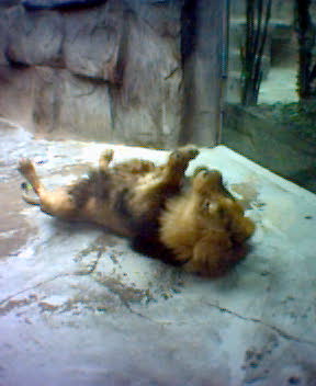 Fotky_037.jpg