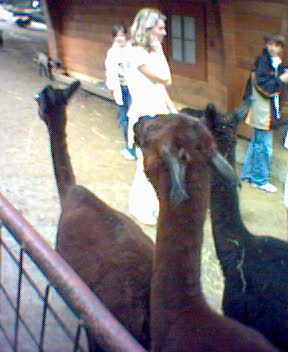 Fotky_039.jpg