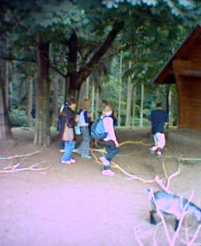 Fotky_041.jpg