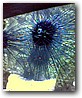 Fotky_013.jpg