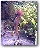 Fotky_015.jpg