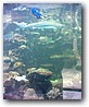 Fotky_017.jpg