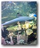Fotky_018.jpg