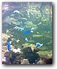 Fotky_019.jpg