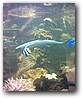 Fotky_020.jpg