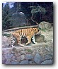 Fotky_022.jpg