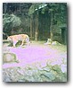 Fotky_023.jpg