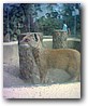 Fotky_024.jpg