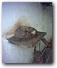 Fotky_025.jpg