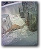 Fotky_026.jpg