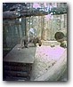 Fotky_027.jpg