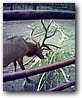 Fotky_029.jpg