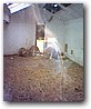 Fotky_031.jpg