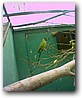 Fotky_034.jpg