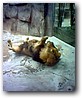 Fotky_037.jpg