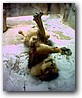 Fotky_038.jpg