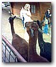Fotky_039.jpg