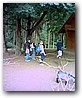 Fotky_041.jpg