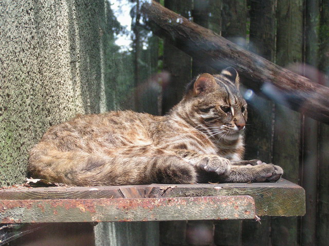 Foto_052.jpg