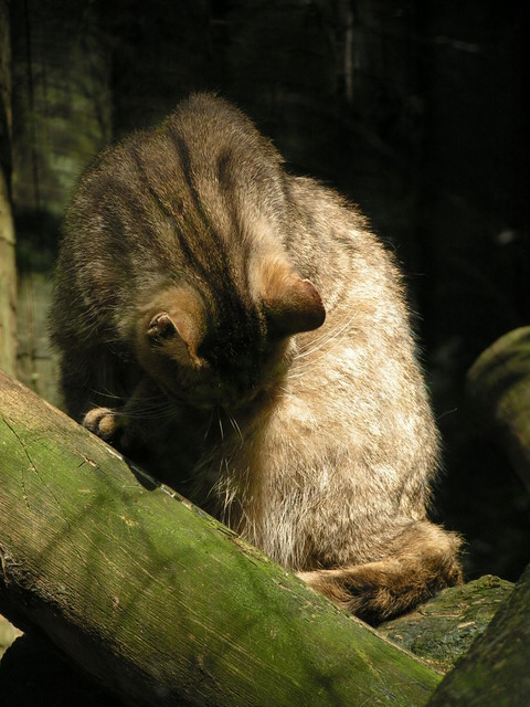 Foto_053.jpg