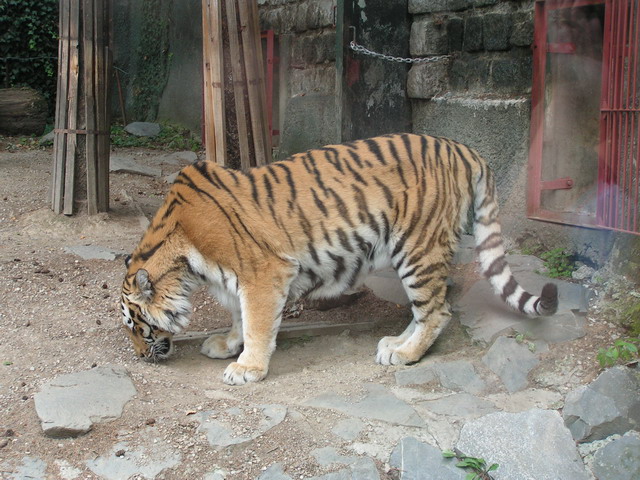 Foto_061.jpg