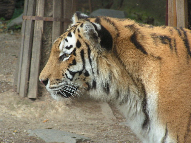 Foto_062.jpg