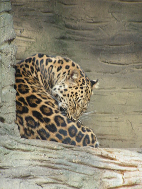 Foto_075.jpg