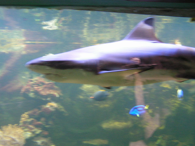 Foto_078.jpg