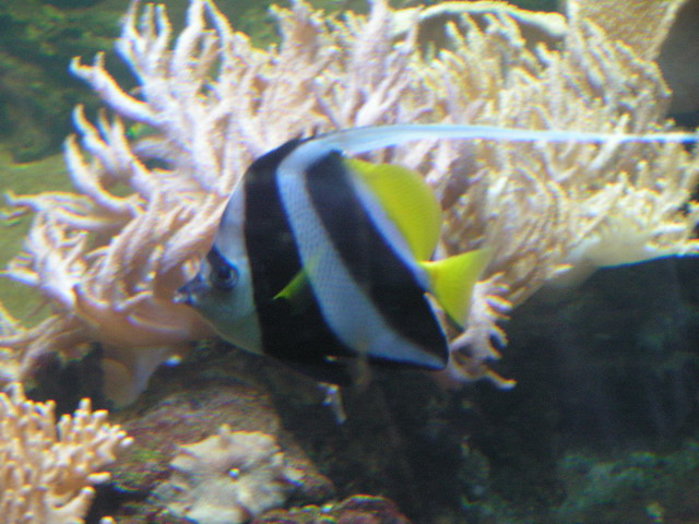 Foto_080.jpg