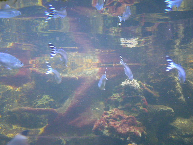 Foto_081.jpg