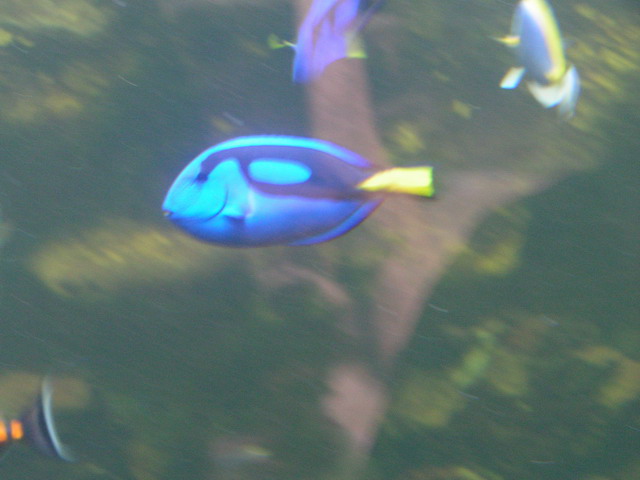 Foto_083.jpg