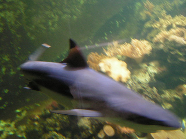 Foto_085.jpg