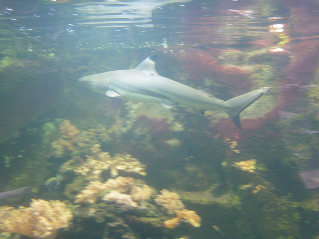 Foto_086.jpg