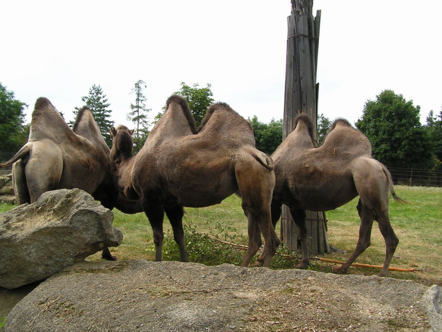Foto_087.jpg