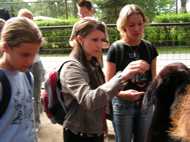 Foto_126.jpg