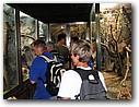 Foto_045.jpg