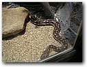 Foto_047.jpg