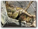 Foto_048.jpg