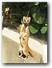 Foto_057.jpg