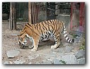 Foto_061.jpg