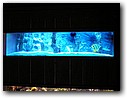 Foto_065.jpg