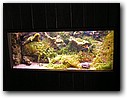 Foto_066.jpg