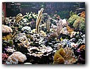 Foto_067.jpg