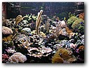 Foto_068.jpg