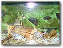 Foto_070.jpg