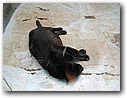 Foto_071.jpg