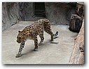 Foto_084.jpg