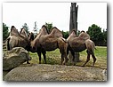Foto_087.jpg